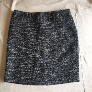 Ann Taylor Skirt